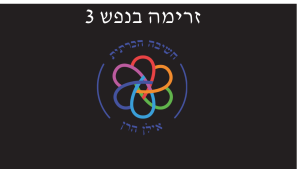 זרימה בנפש 3